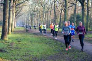 Het decor: Prachtige lanen in het park Beeckestijn