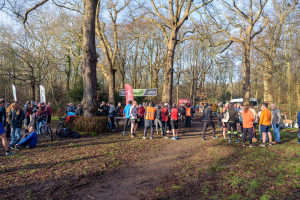 Zonnetje scheen door de bomen